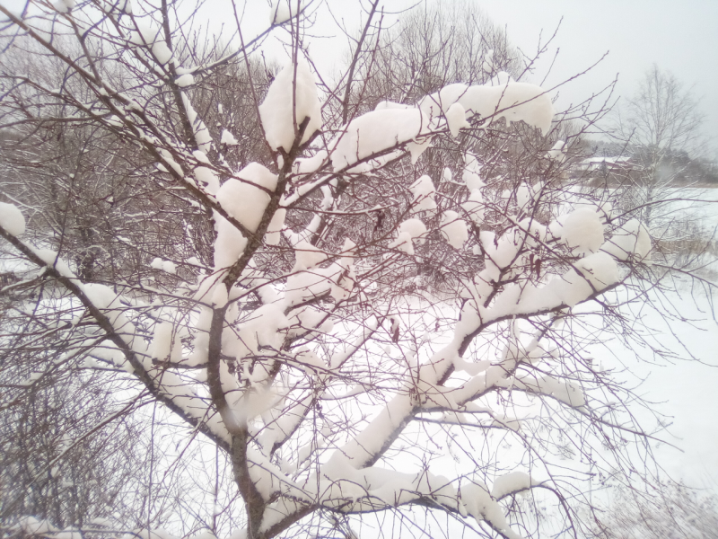 Behind the window - snow